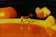 Citrus Skaters