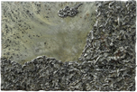 Cosmic Texture
