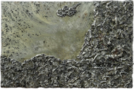 Cosmic Texture
