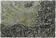 Cosmic Texture