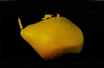 Pear Polish